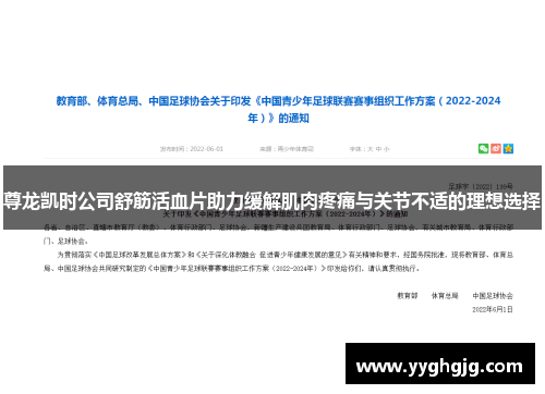 尊龙凯时公司舒筋活血片助力缓解肌肉疼痛与关节不适的理想选择