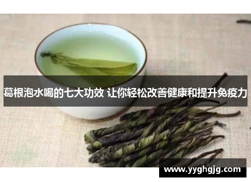 葛根泡水喝的七大功效 让你轻松改善健康和提升免疫力