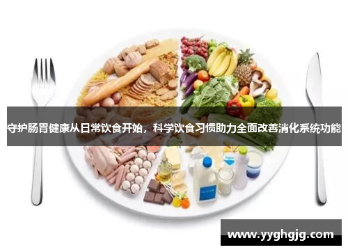 守护肠胃健康从日常饮食开始，科学饮食习惯助力全面改善消化系统功能