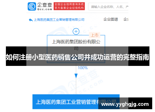 如何注册小型医药销售公司并成功运营的完整指南