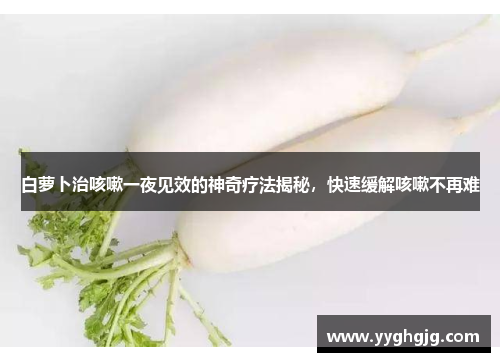 白萝卜治咳嗽一夜见效的神奇疗法揭秘，快速缓解咳嗽不再难